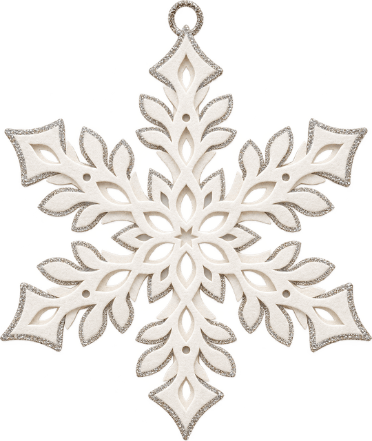 Le flocon de neige