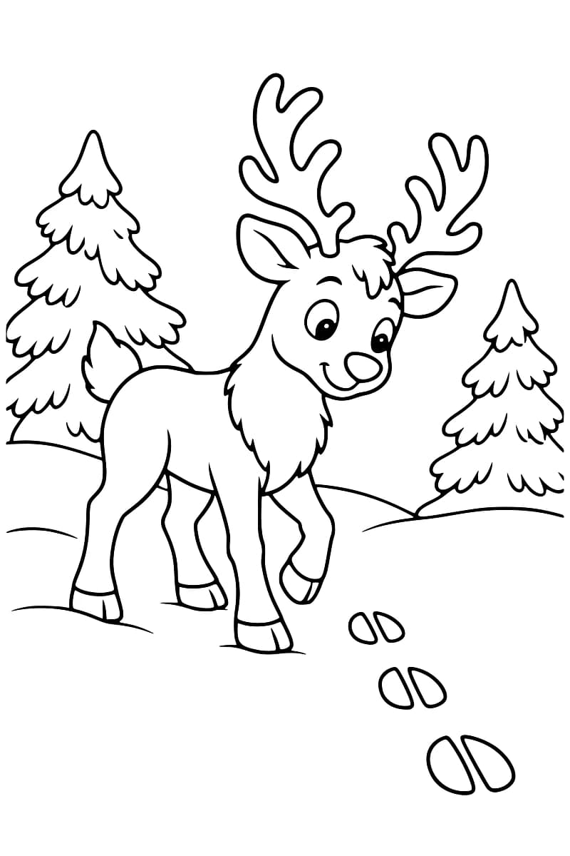 Dessin en noir et blanc d’un renne marchant dans la neige entre deux sapins, avec des empreintes au premier plan.